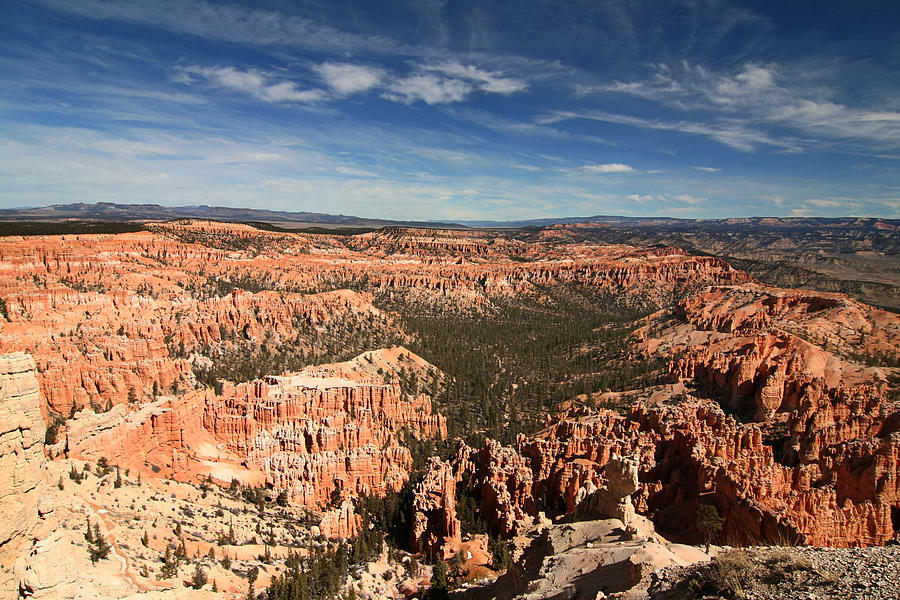 Bryce Canyon Photograph by Mark Smith