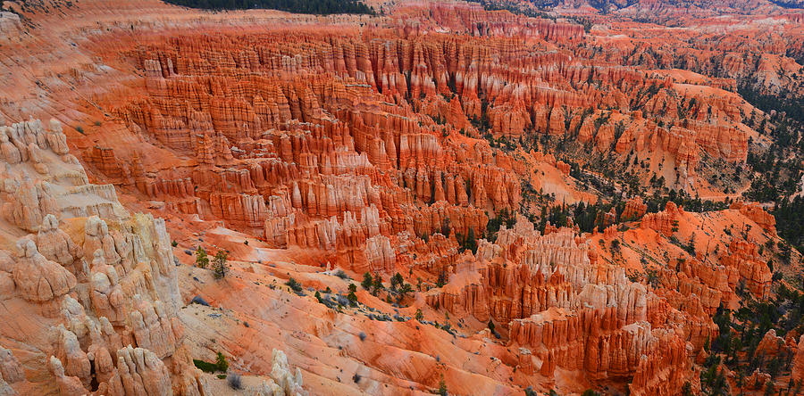 Bryce Canyon Megapixels Photograph by Raymond Salani III