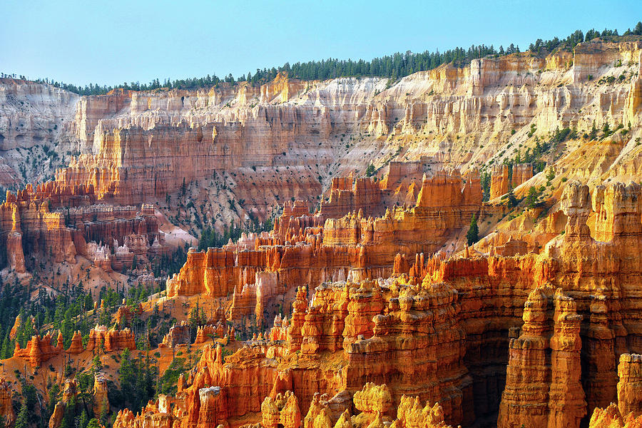 Bryce Canyon   Photograph by Mitch Cat