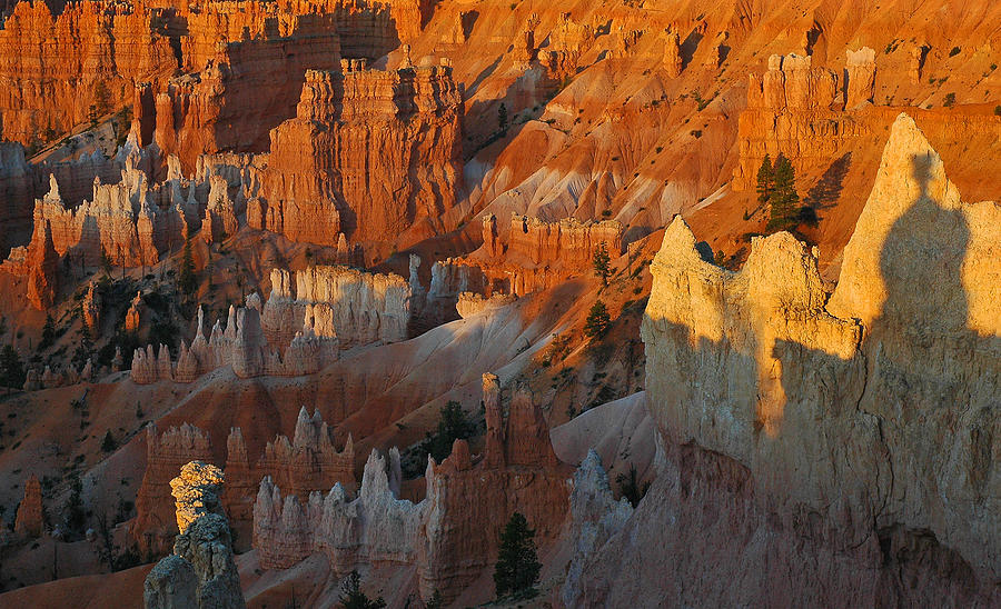 Bryce Canyon Morning Photograph by Bruce Gourley