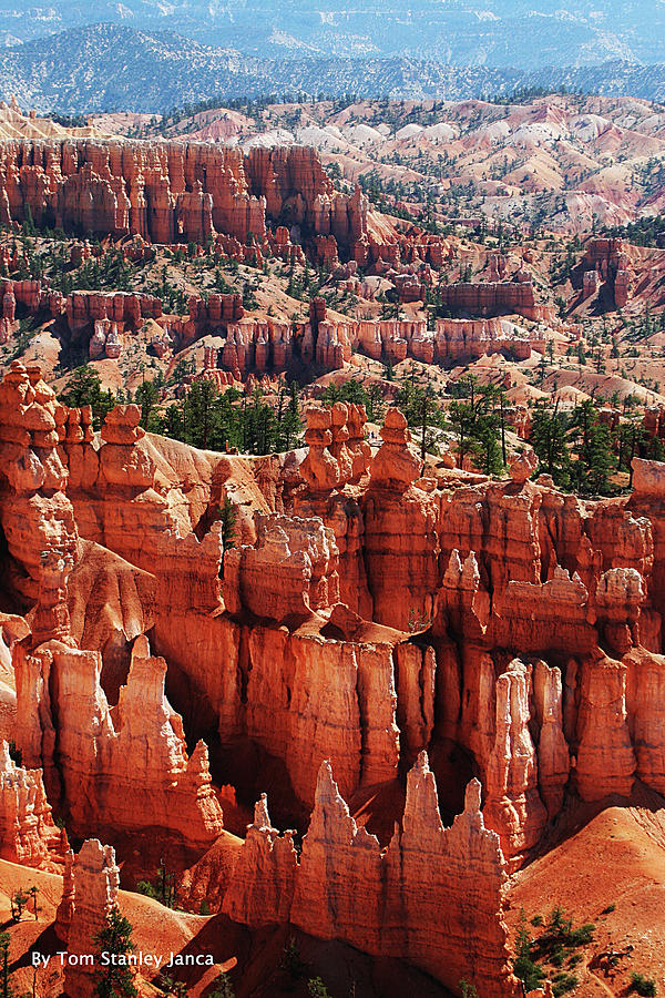 Bryce Canyon National Monument Photograph by Tom Janca