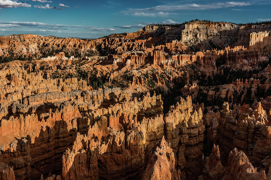 Bryce Canyon National Park 4C by Don Risi Bryce Canyon National Park 4C by Don Risi