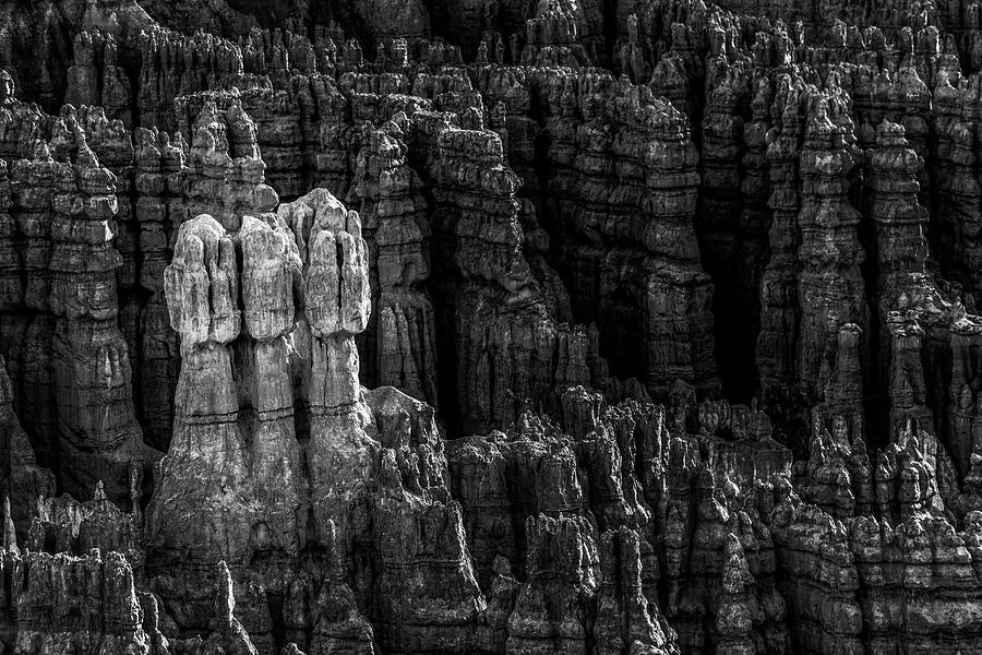 Bryce Canyon National Park 6BW by Don Risi Bryce Canyon National Park 6BW by Don Risi