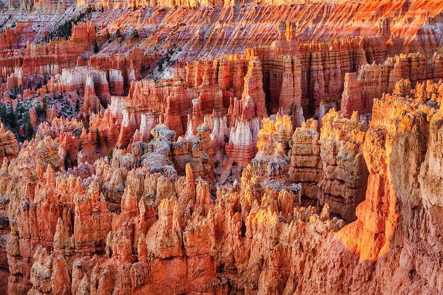 Bryce Canyon National Park Amphitheater Photograph by Jerry Fornarotto ...