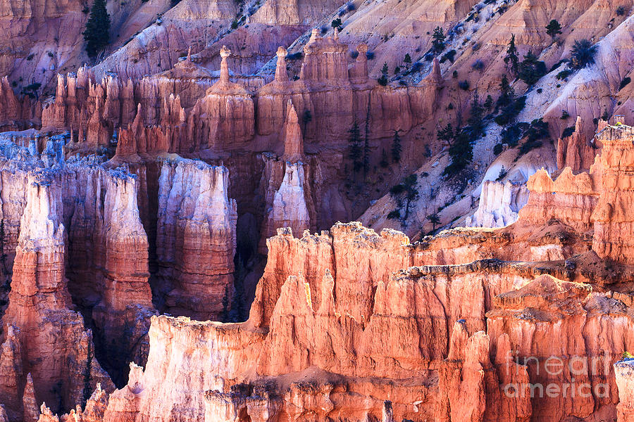 Bryce Canyon National Park Photograph by Ben Graham