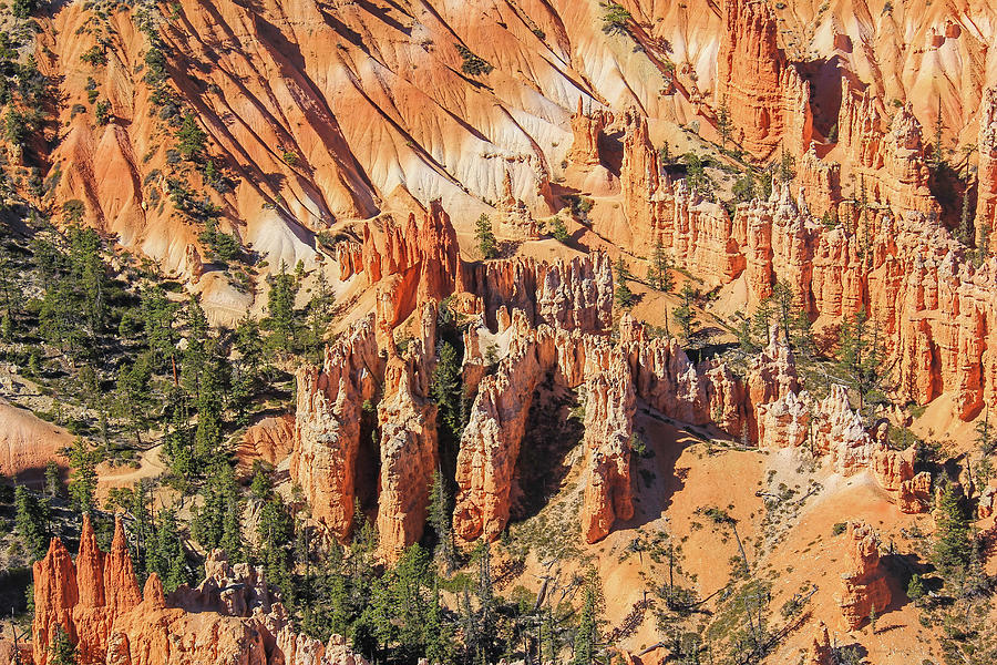 Bryce Canyon National Park Hoodoos Photograph by Jennie Marie Schell