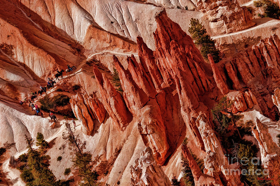 Bryce Canyon National Park Horse Trail Photograph by Blake Richards