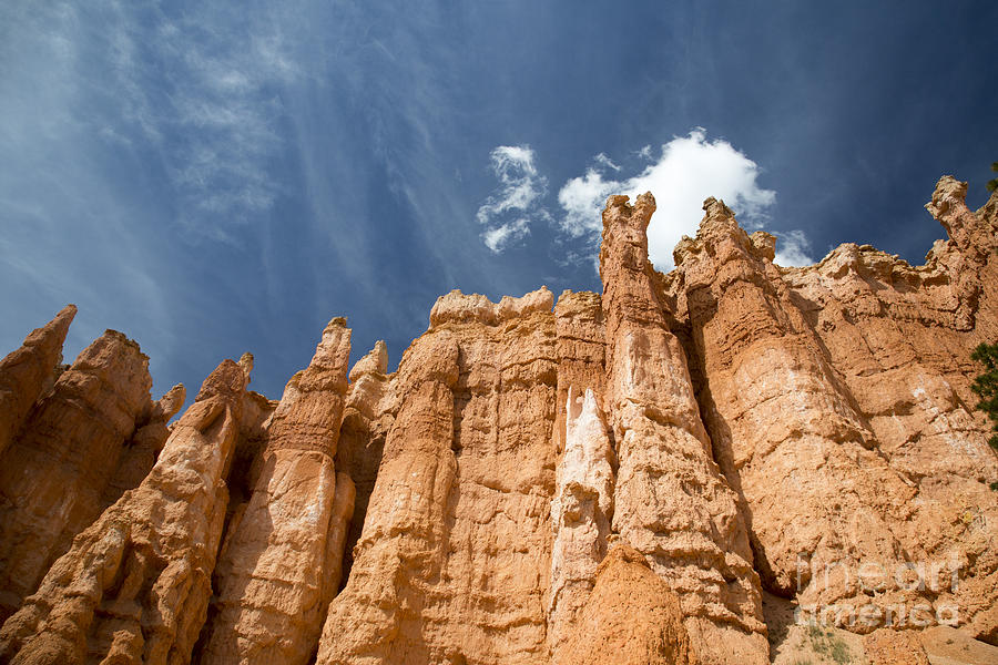 Bryce Canyon National Park Photograph by Jim West