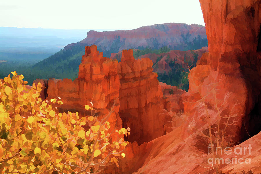 Bryce Canyon National Park Photograph - Bryce Canyon National Park Paint  by Chuck Kuhn