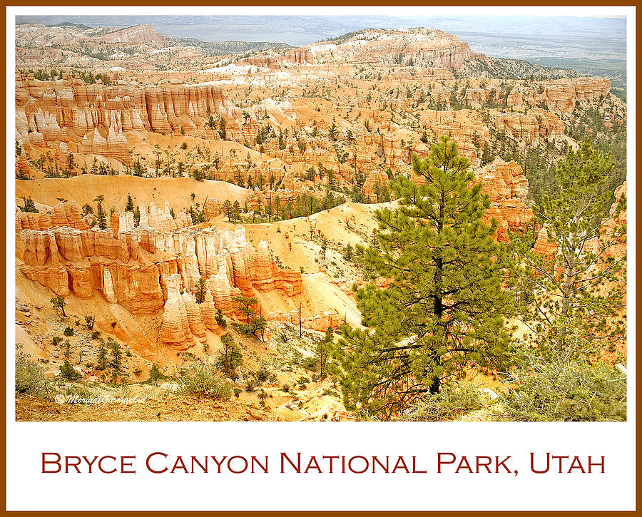 Bryce Canyon National Park Utah Photograph by A Macarthur Gurmankin