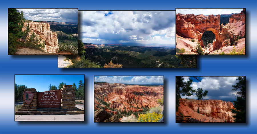 Bryce Canyon National Park Utah Collage Photograph by Thomas Woolworth