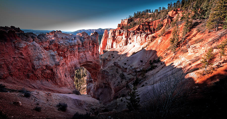 Bryce Canyon NP Arch  Photograph by Dean Ginther