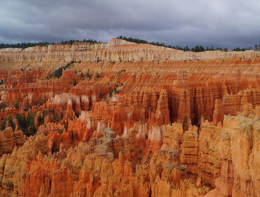 Bryce Canyon National Park by Broderick Delaney Bryce Canyon National Park by Broderick Delaney