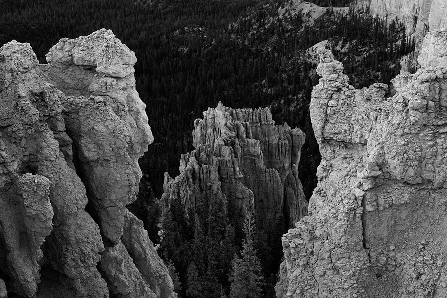 Bryce Canyon NP I BW Photograph by David Gordon