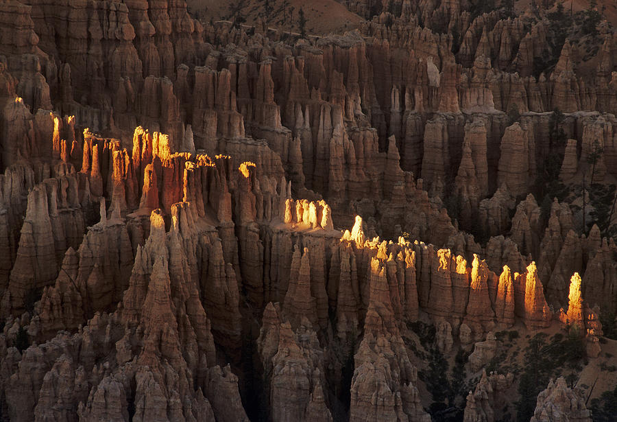 Bryce Canyon Sunrise II Photograph by Doug Davidson