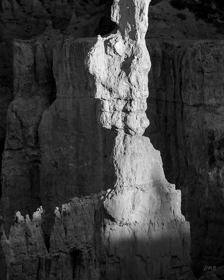 Bryce Canyon NP VI BW Photograph by David Gordon