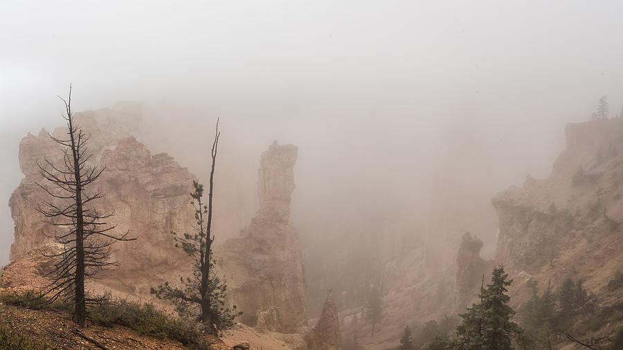 Bryce Canyon Obscured Photograph by Belinda Greb