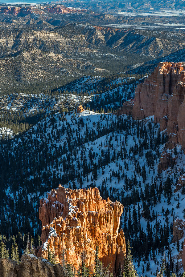 Bryce Canyon Overlook Photograph by Joseph Smith