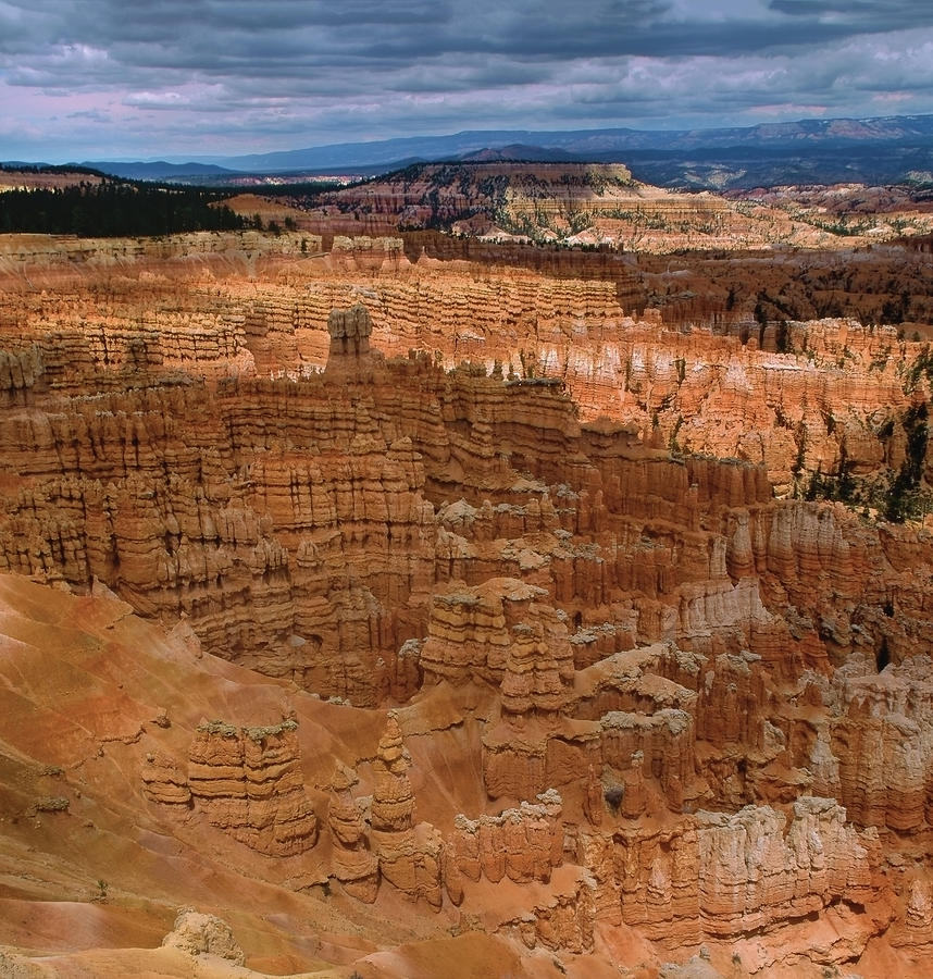 Bryce Canyon Photograph by Paul Breitkreuz