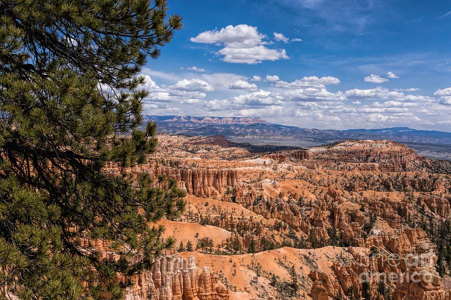 Bryce Canyon Photograph by Peggy Hughes