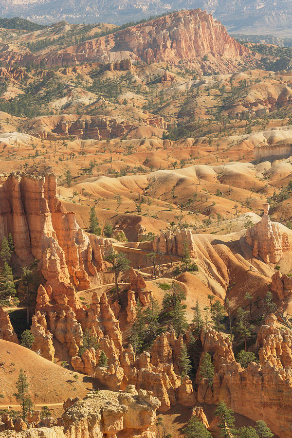 Bryce Canyon Photograph by Peter J Sucy
