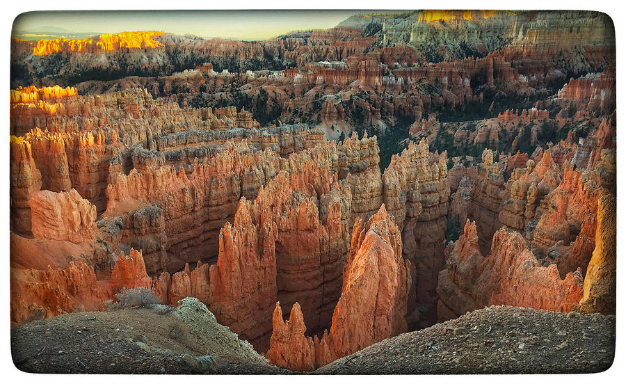 Bryce Canyon  Photograph by Phil Cardamone