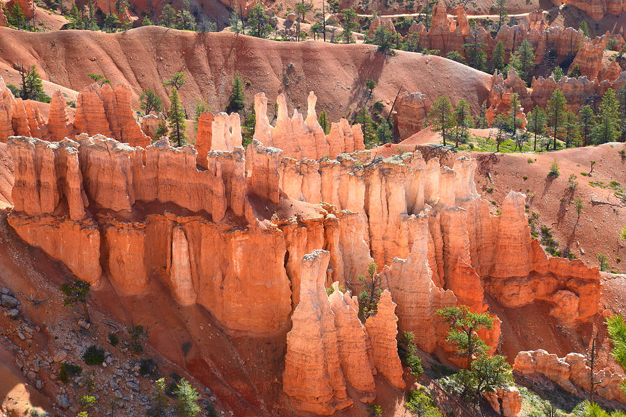 Bryce Canyon Queens Garden Photograph by Ray Mathis