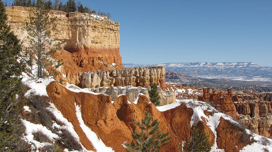 Bryce Canyon Photograph by Rachel Partin | Fine Art America