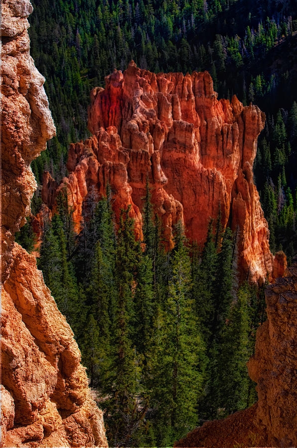 Bryce Canyon Red Rock Photograph by Bob Coates