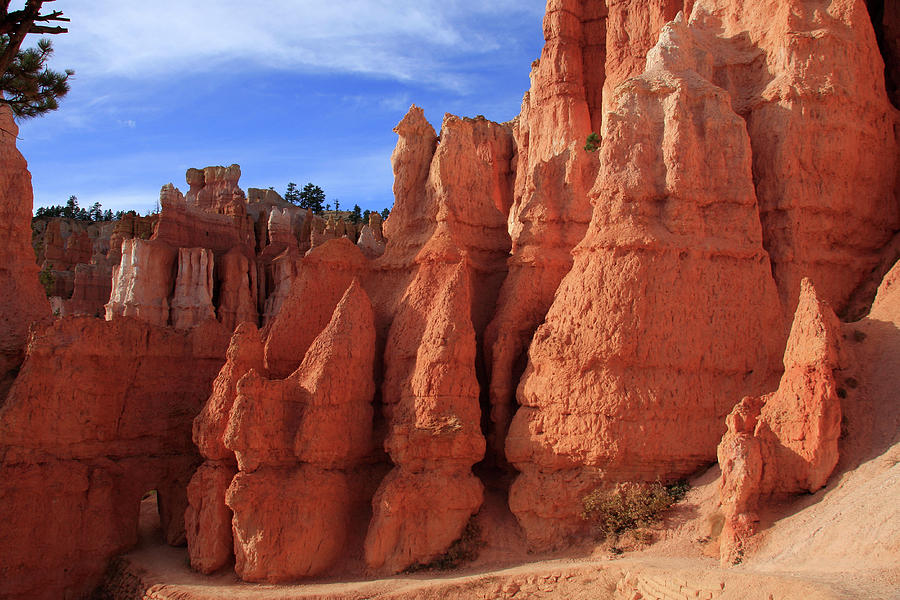 Bryce Canyon Red Rock Formations Photograph by Aidan Moran