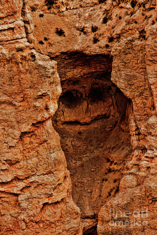 Bryce Canyon Rock Face Photograph by Blake Richards