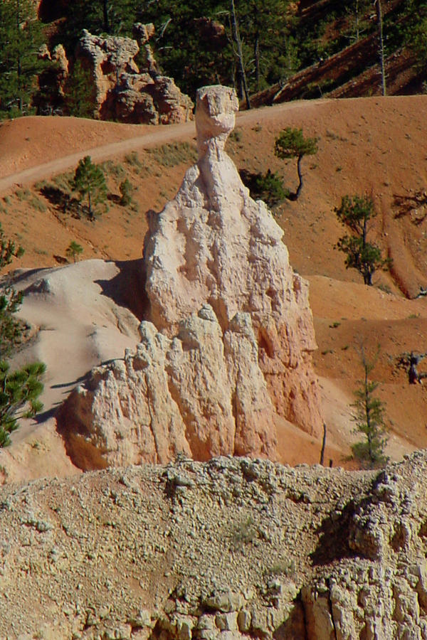 Bryce Canyon Sentry Photograph