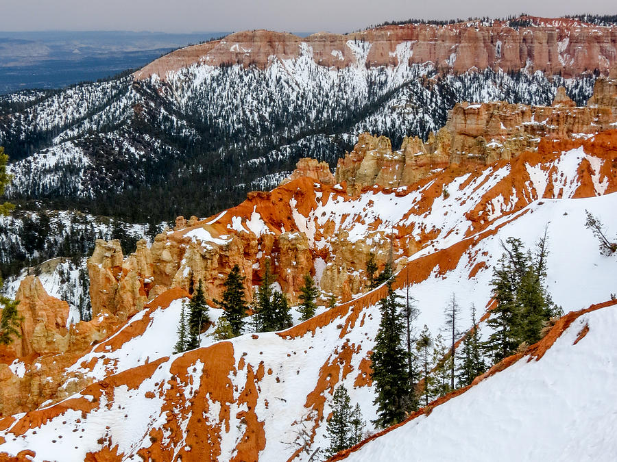 Bryce Canyon Series #1 Photograph by Patti Deters