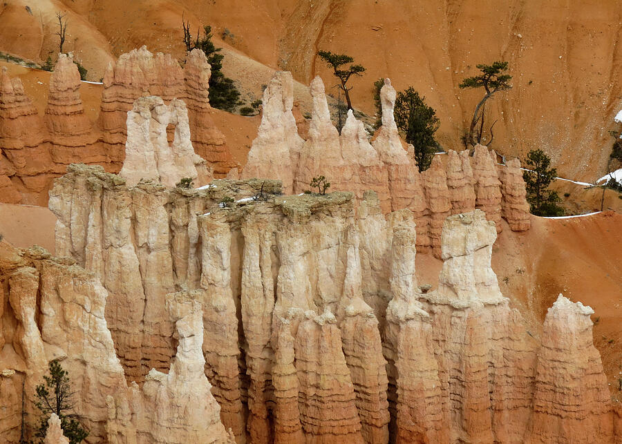 Bryce Canyon Series #11 Sandy Hoodoos Photograph by Patti Deters