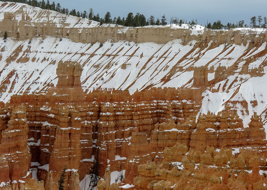 Bryce Canyon Series #12 Snow on the Ridge Photograph by Patti Deters