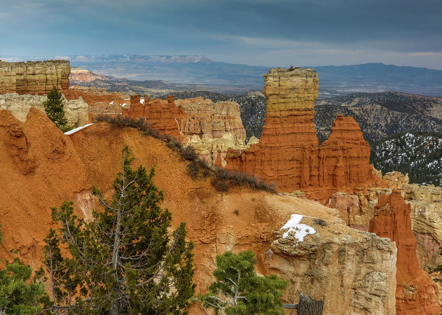Bryce Canyon Series #15 Photograph by Patti Deters