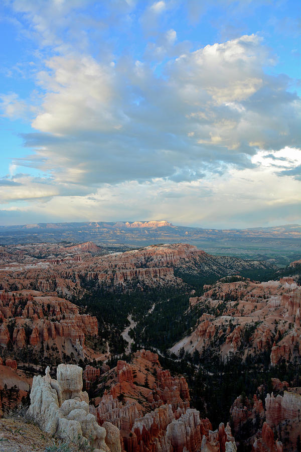 Bryce Canyon Skyview Photograph by Bruce Gourley