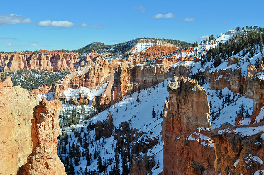 Bryce Canyon Snow Photograph by Kyle Hanson