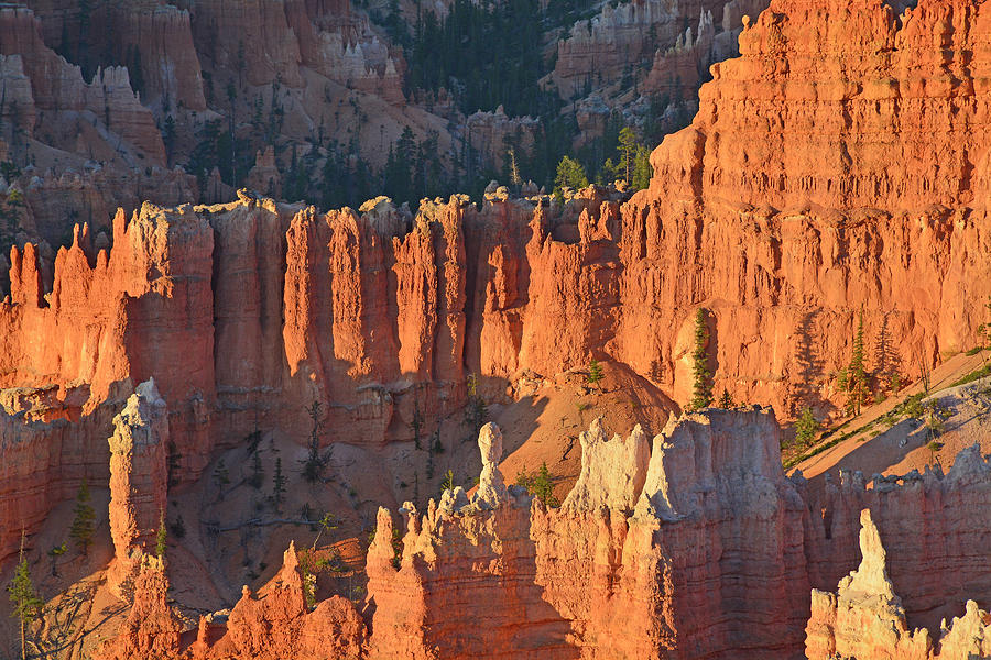 Bryce Canyon Sunrise 2016c Photograph by Bruce Gourley