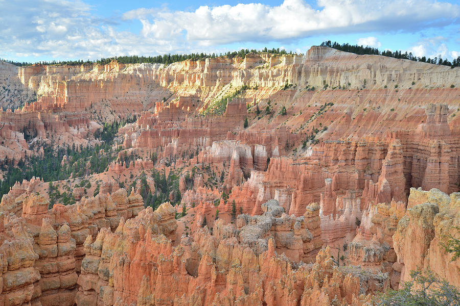 Bryce Canyon Sunrise II Photograph by Ray Mathis