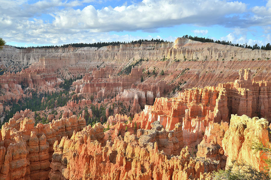 Bryce Canyon Sunrise IV Photograph by Ray Mathis