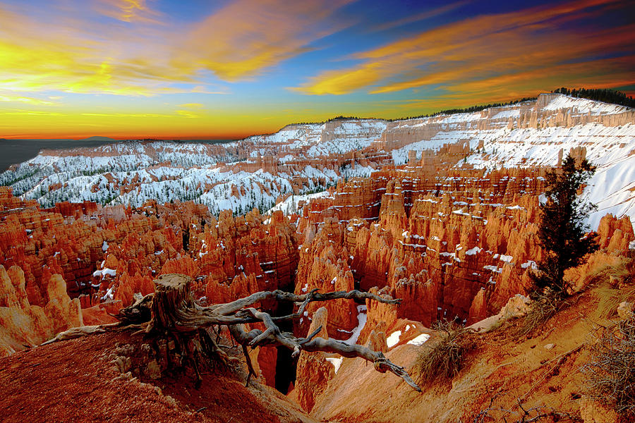 Bryce Canyon Sunrise by Norman Hall Bryce Canyon Sunrise by Norman Hall