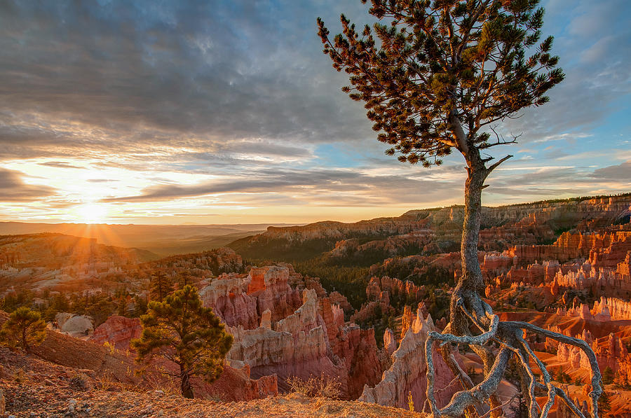 Bryce Canyon National Park Photograph - Bryce Canyon Sunrise by Peak Photography by Clint Easley