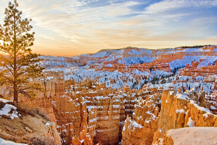 Bryce Canyon Sunset Photograph by Ches Black