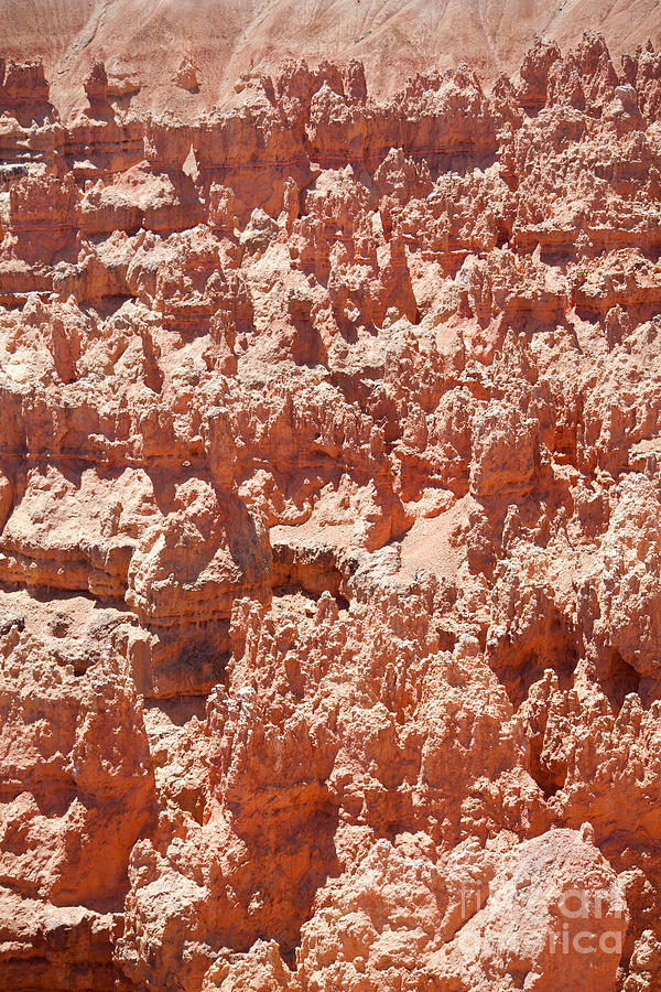 Bryce Canyon - Utah Photograph by Anthony Totah