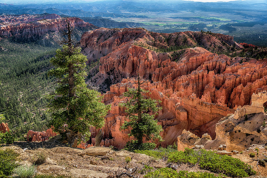 Bryce Canyon Utah Landscape 7R2_DSC1215_08112017  Photograph by Greg Kluempers