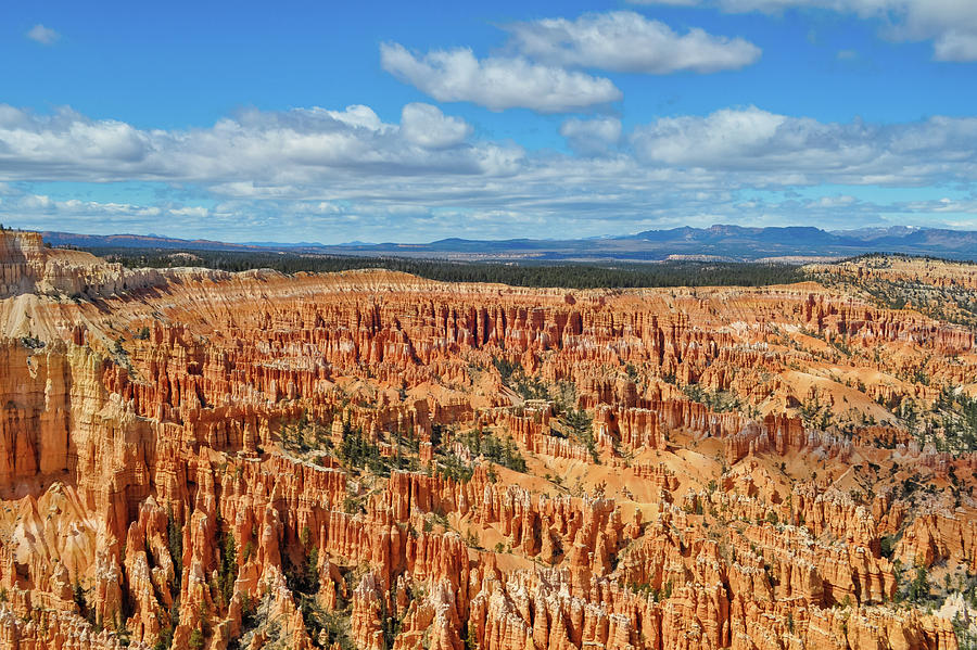 Bryce Canyon Utah Landscape Photograph by Kyle Hanson