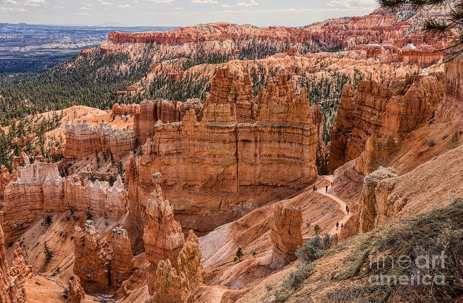 Nature Photograph - Bryce Canyon Utah by Peggy Hughes