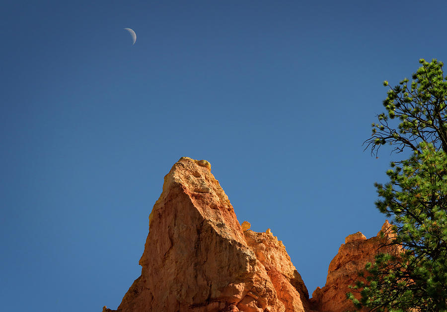 Bryce Canyon V Photograph by Ricky Barnard