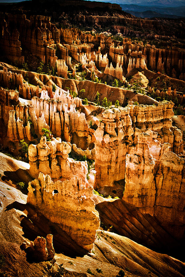 Bryce Canyon Vertical Image Photograph by James BO Insogna